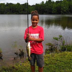 Meet your Posher, Jodi